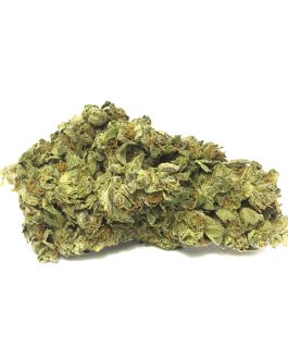 Girl Scout Cookies