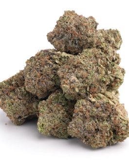 Afghan Kush