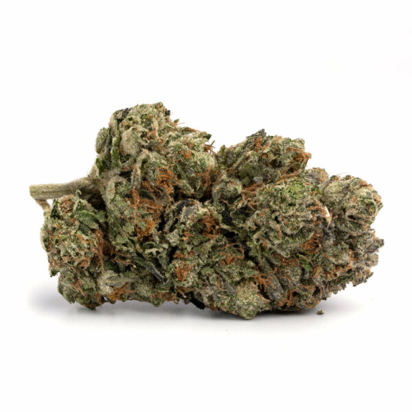 G13 Strain - Image 2