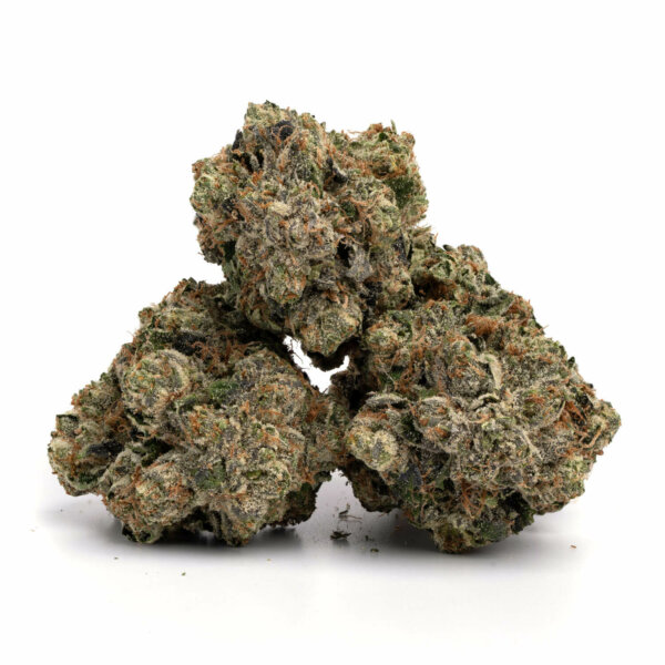 G13 Strain Near Me