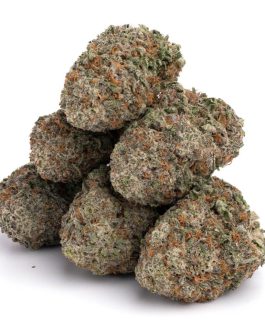 Green Crack