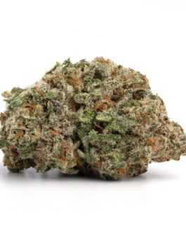 Jack Herer