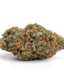 Lemon Haze