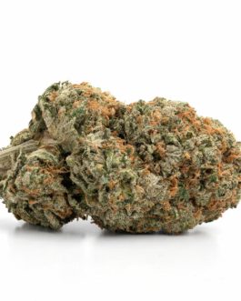 Lemon Skunk