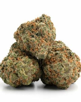 Lemon Skunk