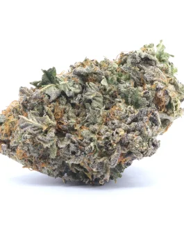 Northern Lights