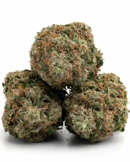 OG Kush