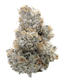 Holy Grail Kush