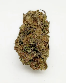 Strawberry Gary Strain