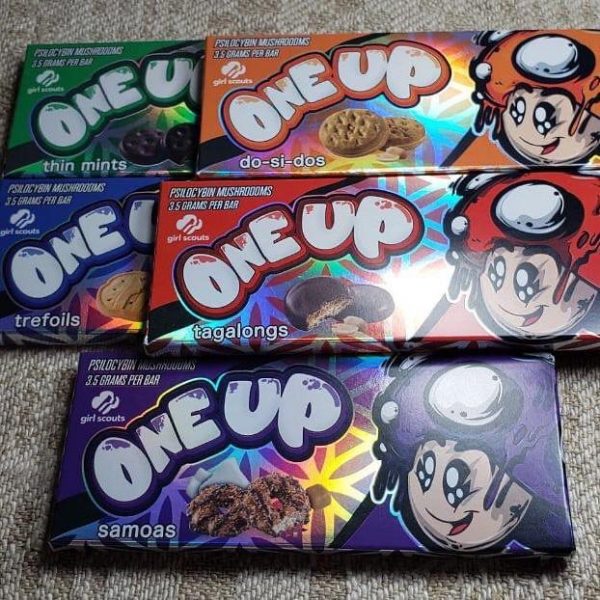 buy functional mushroom chocolate bars online USA