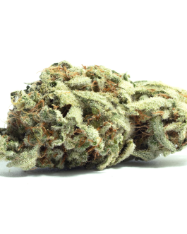 Super Silver haze