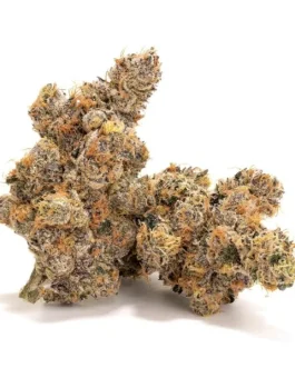 Strawberry Gary Strain