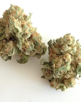 White Widow