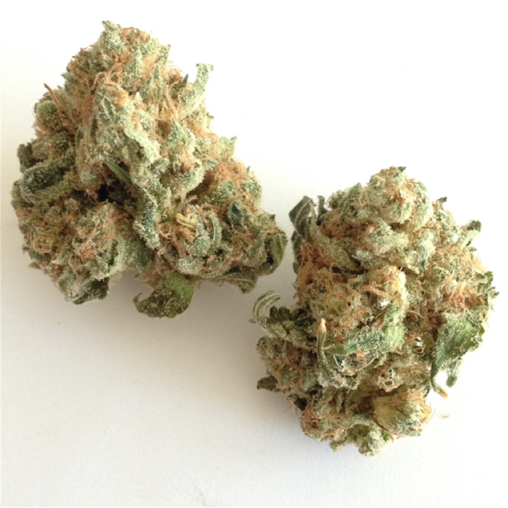 Buy White Widow online in US